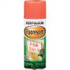 Coupon ⭐ Rust-Oleum Fluorescent 11 Oz. Gloss Spray Paint, Fluorescent Red-Orange ✨ -Cheap Rust-Oleum Shop ItemImage 796224 q5x5j4 13pfvk bqv7je